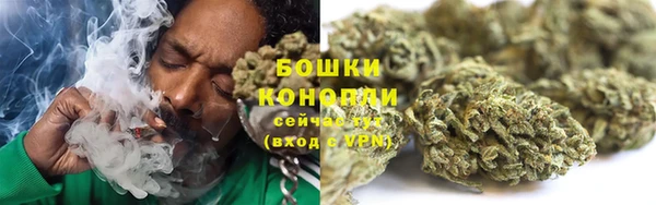 дживик Абаза