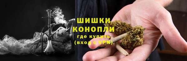 дживик Абаза
