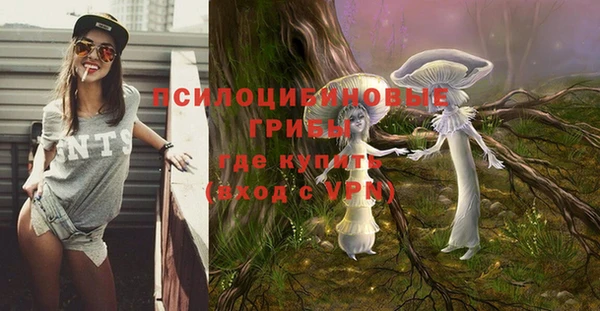 дживик Абаза