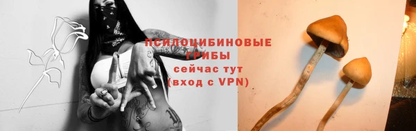 сатива Абинск