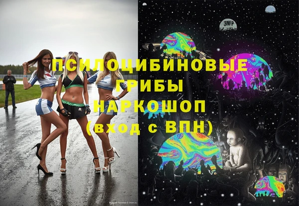 дживик Абаза