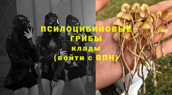 дживик Абаза