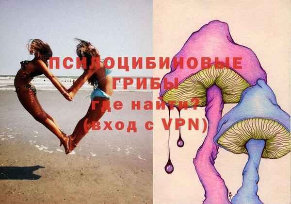 сатива Абинск