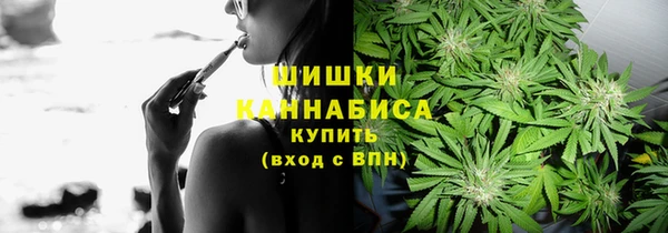 сатива Абинск