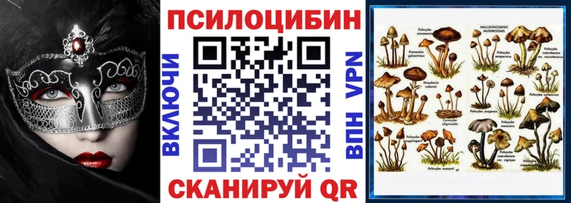 Псилоцибиновые грибы ЛСД  площадка официальный сайт  Сычёвка 